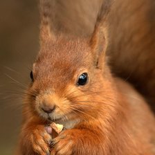 Схема вышивки «№2482601»