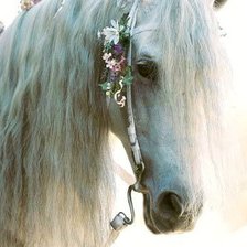 Схема вышивки «Белая лошадь»