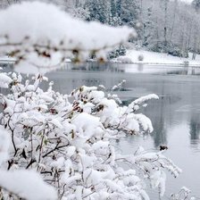 Схема вышивки «Зима»