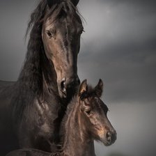 Схема вышивки «Лошадь и жеребёнок»