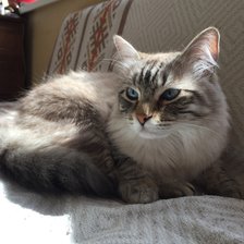 Схема вышивки «Невская маскарадная»