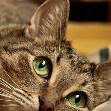 Схема вышивки «Я спрятался»