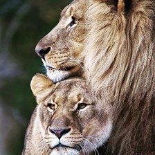 Схема вышивки «Я сберегу наш мир»