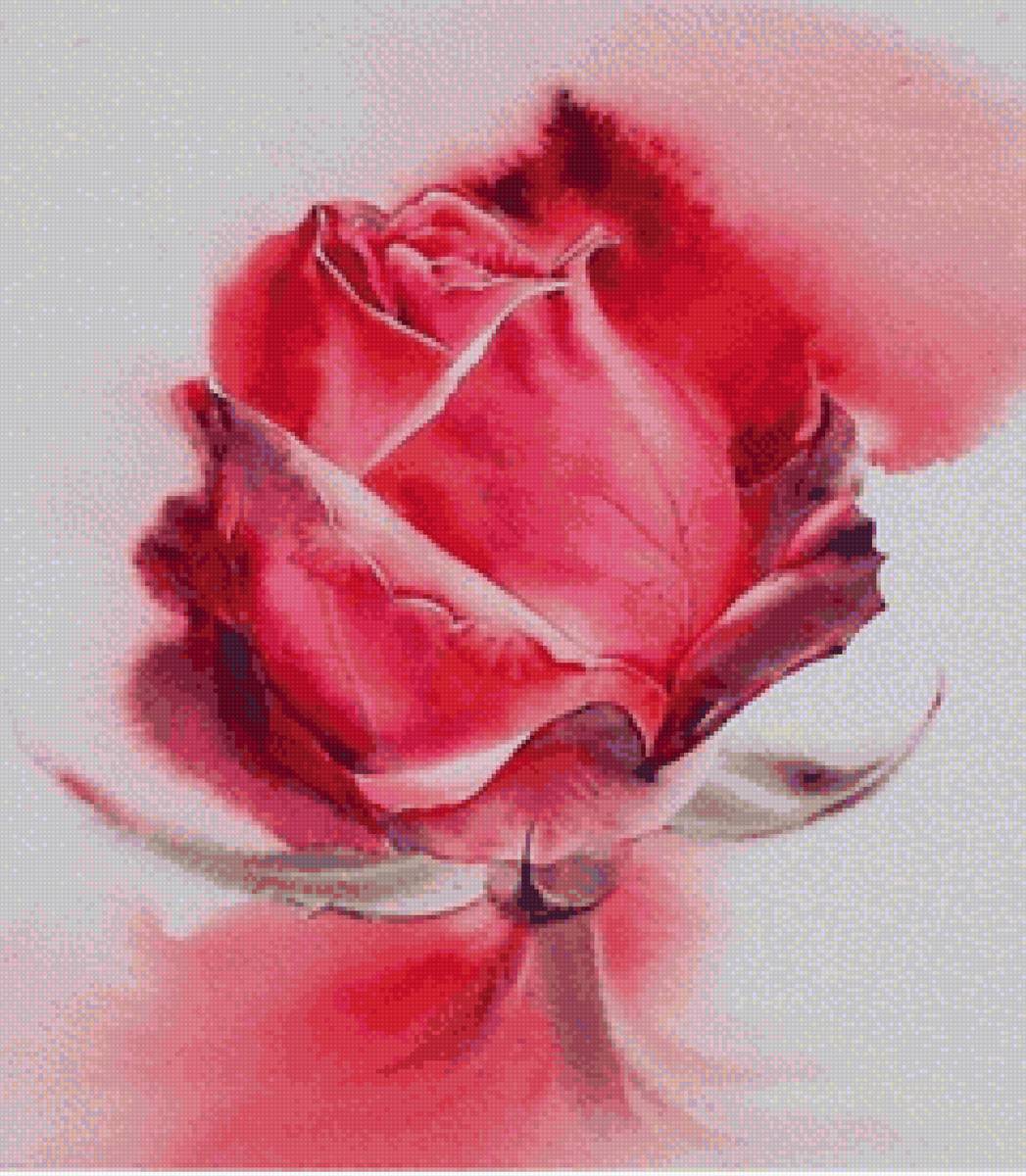 Роза акварельная - акварель, цветы, роза - предпросмотр