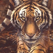 Схема вышивки «Взгляд тигра»