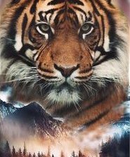 Схема вышивки «дух природы 2»