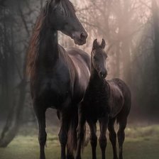 Схема вышивки «Лошади»