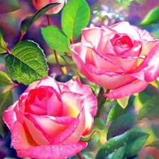 Схема вышивки «Розы»