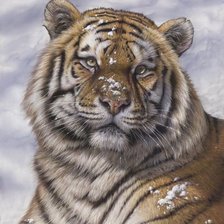 Схема вышивки «№2483435»