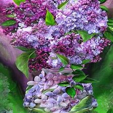 Схема вышивки «Сирень»