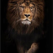 Схема вышивки «Лев 24.03»