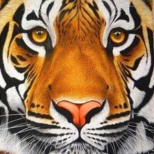 Схема вышивки «Тигр»