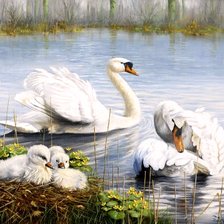 Схема вышивки «Лебединая верность»