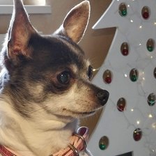 Схема вышивки «№2484489»