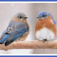 Схема вышивки «№2484648»