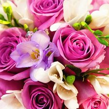 Схема вышивки «Розы»