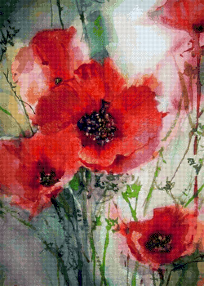 Маки - цветы, маки, акварель - предпросмотр