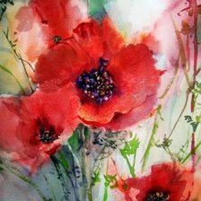 Схема вышивки «Маки»