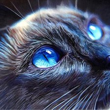 Схема вышивки «Кот»