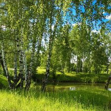 Схема вышивки «Березовая роща и ручей»