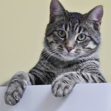 Схема вышивки «№2485432»