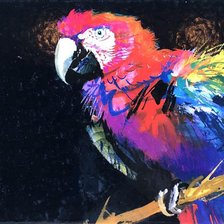 Схема вышивки «Aves - Janusz Grabianski»