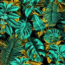 Схема вышивки «Монстера»