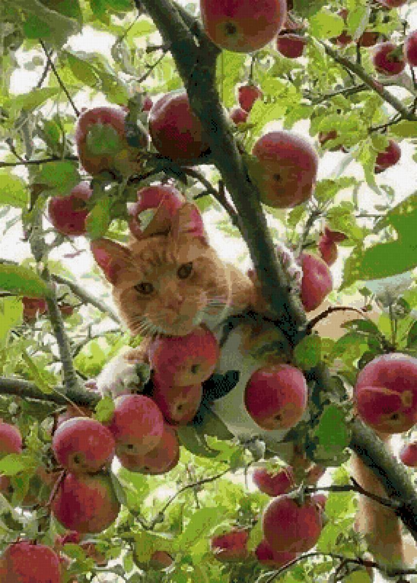 el manzano - paisaje - предпросмотр