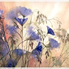 Схема вышивки «Полевые цветы»