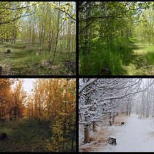 Схема вышивки «Времена года»