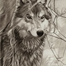 Схема вышивки «№2486507»