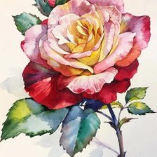 Схема вышивки «Винтажная роза»