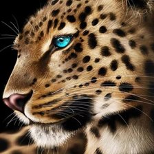 Схема вышивки «Леопард»