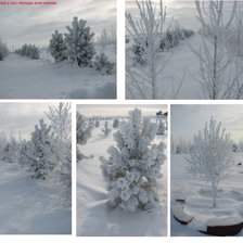 Схема вышивки «Зима»