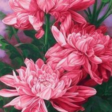 Схема вышивки «Пионы»