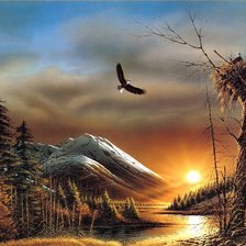 Схема вышивки «Свободный полёт»