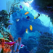 морское дно