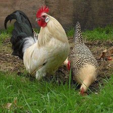 Схема вышивки «№2487949»