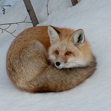 Схема вышивки «№2487992»