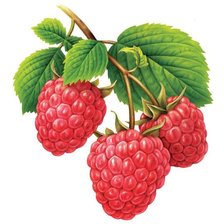 Схема вышивки «№2488002»