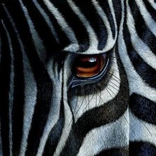 Схема вышивки «подушка Зебра»