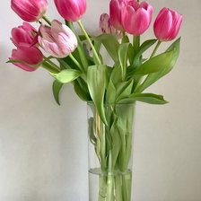 Схема вышивки «№2488452»