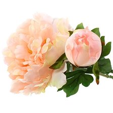 Схема вышивки «ПИОН»