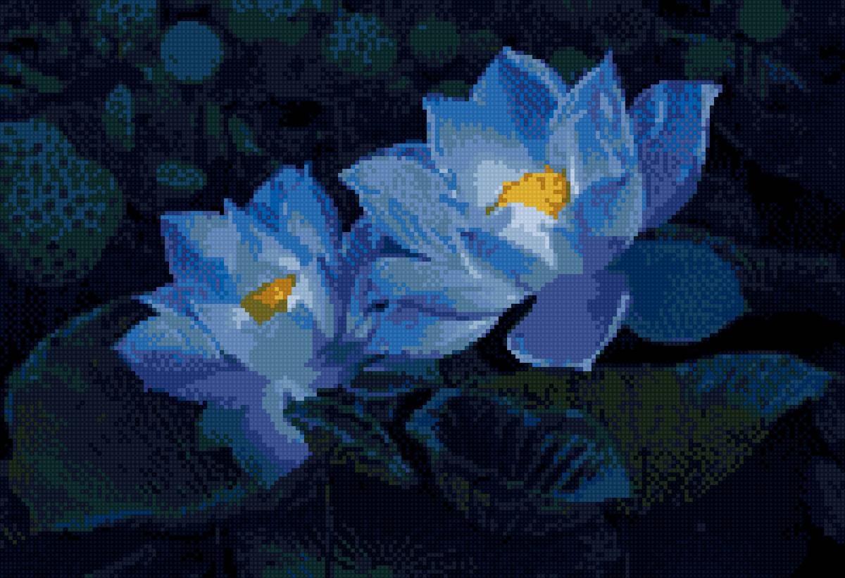 лотосы - предпросмотр