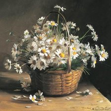 Схема вышивки «Ромашки»