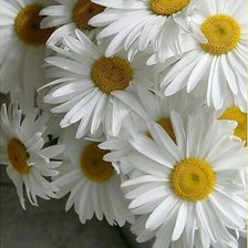 Схема вышивки «№2489254»