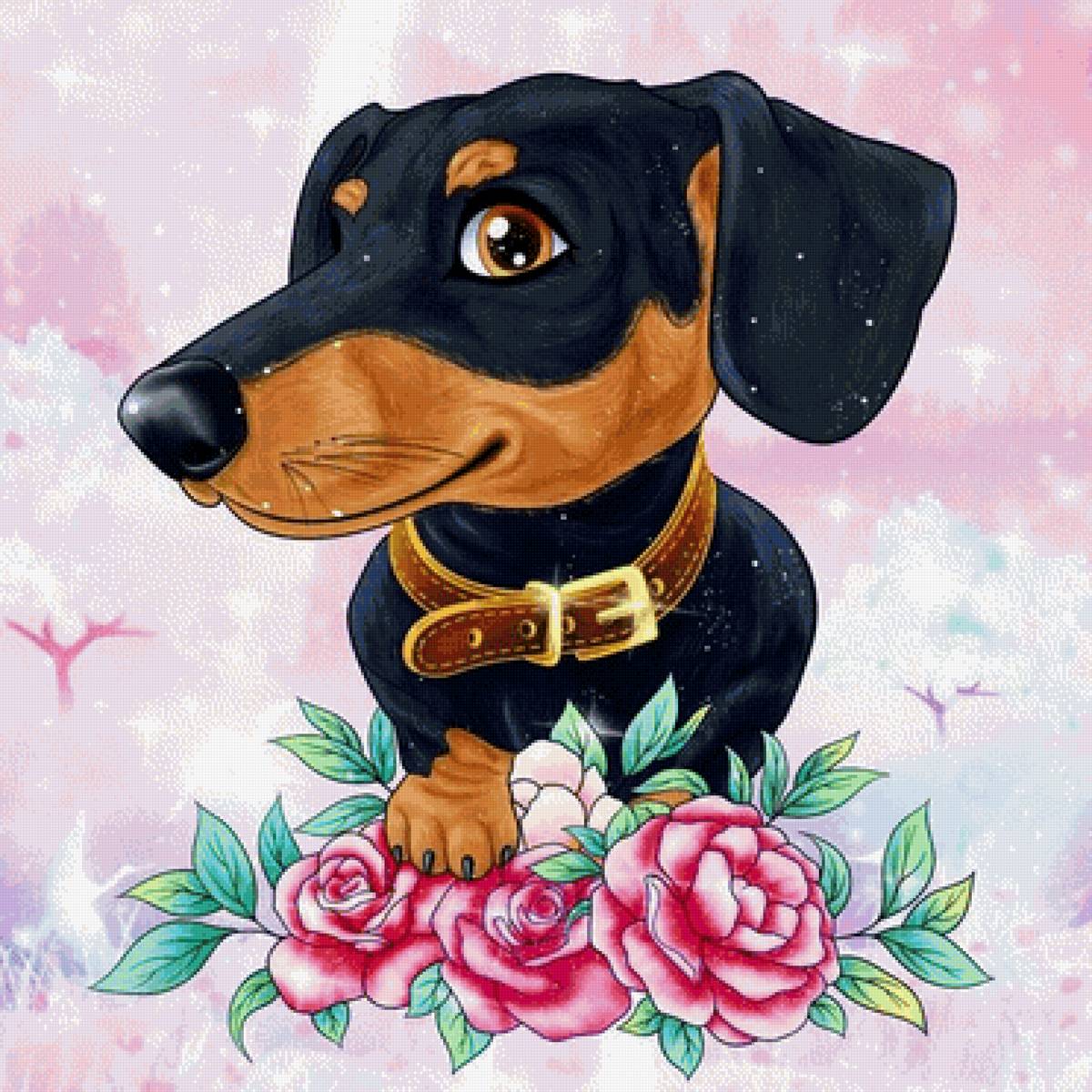 Такса - предпросмотр