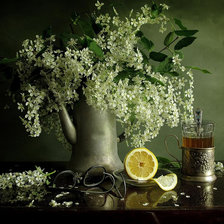 Схема вышивки «Натюрморт»