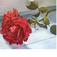 Схема вышивки «356х276»