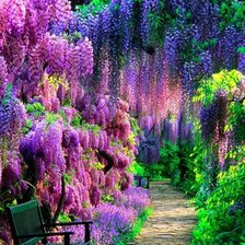 Схема вышивки «Сад с глицинией»